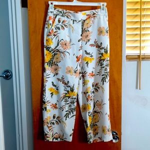 Cute wide leg pant. Small Petite from LOFT